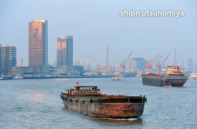 Discover Shipn Utsunomiya: Culture, Cuisine, and Charm