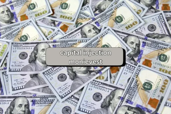 Capital Injection Monievest | Boost Your Business Today