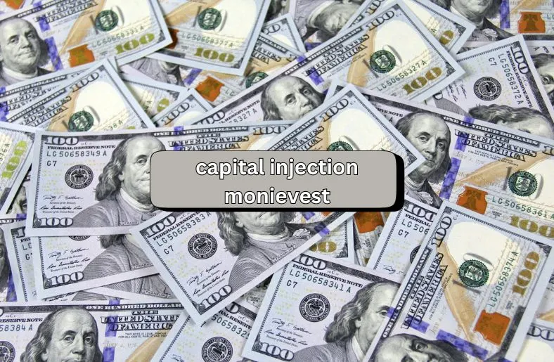 Capital Injection Monievest | Boost Your Business Today