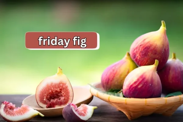 Friday Fig | A Delicious Journey Through Flavor