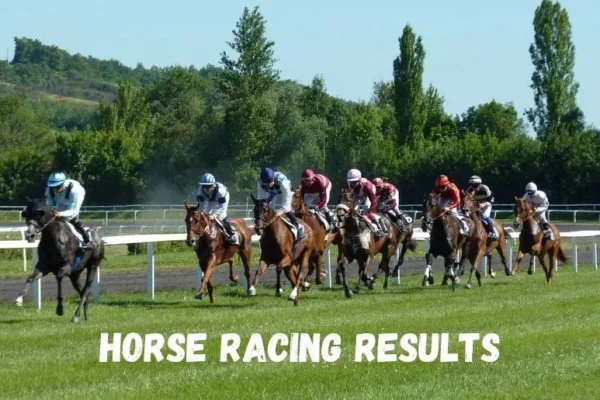 Horse Racing Results