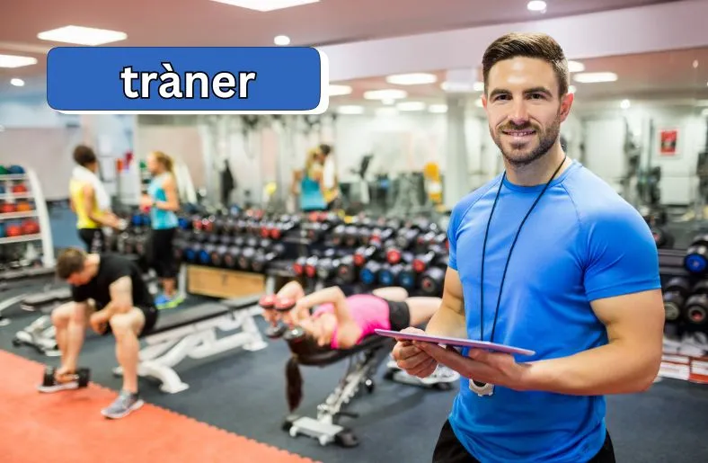 Tràner | The Key to Your Fitness Transformation