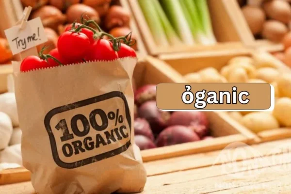 ỏganic Options | Top Picks for a Healthier Diet