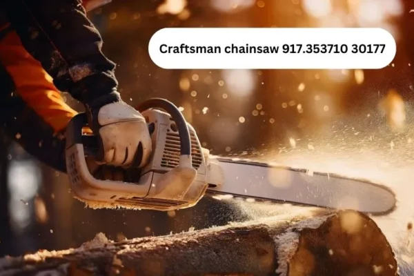 Craftsman Chainsaw 917.353710 30177