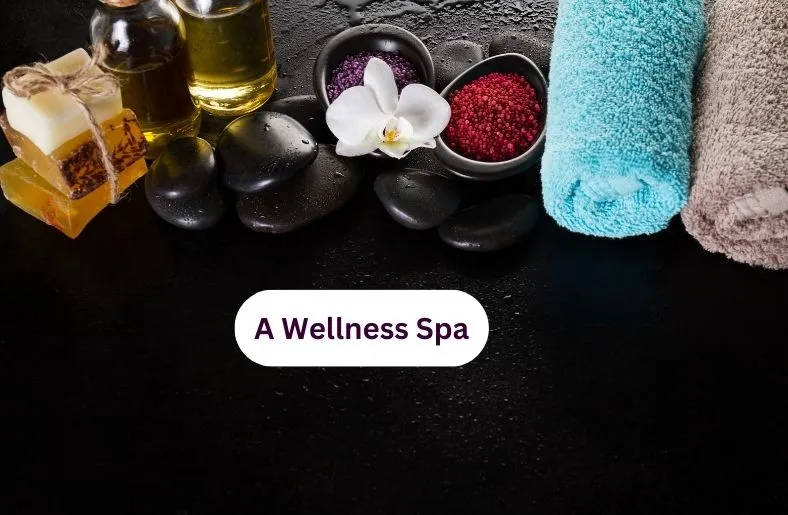 a Wellness Spa