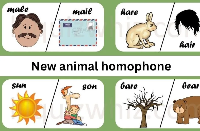 New Animal Homophone